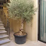 Loft D'artiste Atypique, Climatise,90 M2 , Hypercentre Arenes 6 Pers Nîmes