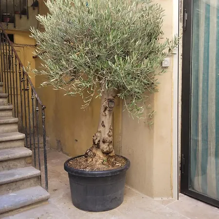 Loft D'artiste Atypique, Climatise,90 M2 , Hypercentre Arenes 6 Pers Nîmes