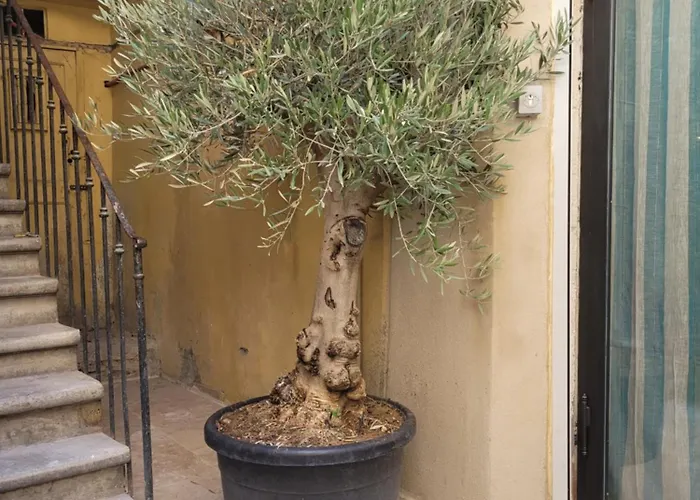 Loft D'Artiste Atypique, Climatise,90 M2 , Hypercentre Nimes Arenes 6 Pers ニーム